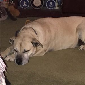 Meet your Posher, Cathy